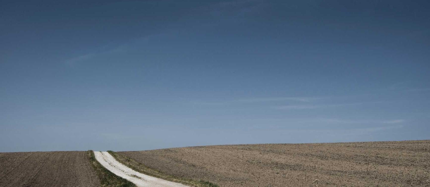 2号站娱乐,注册|如何制定节日促销策略