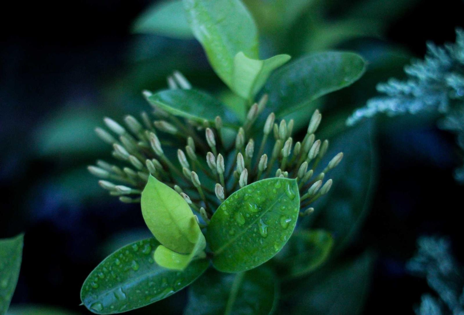 网信移动实名账号:集结号app详情下载教程