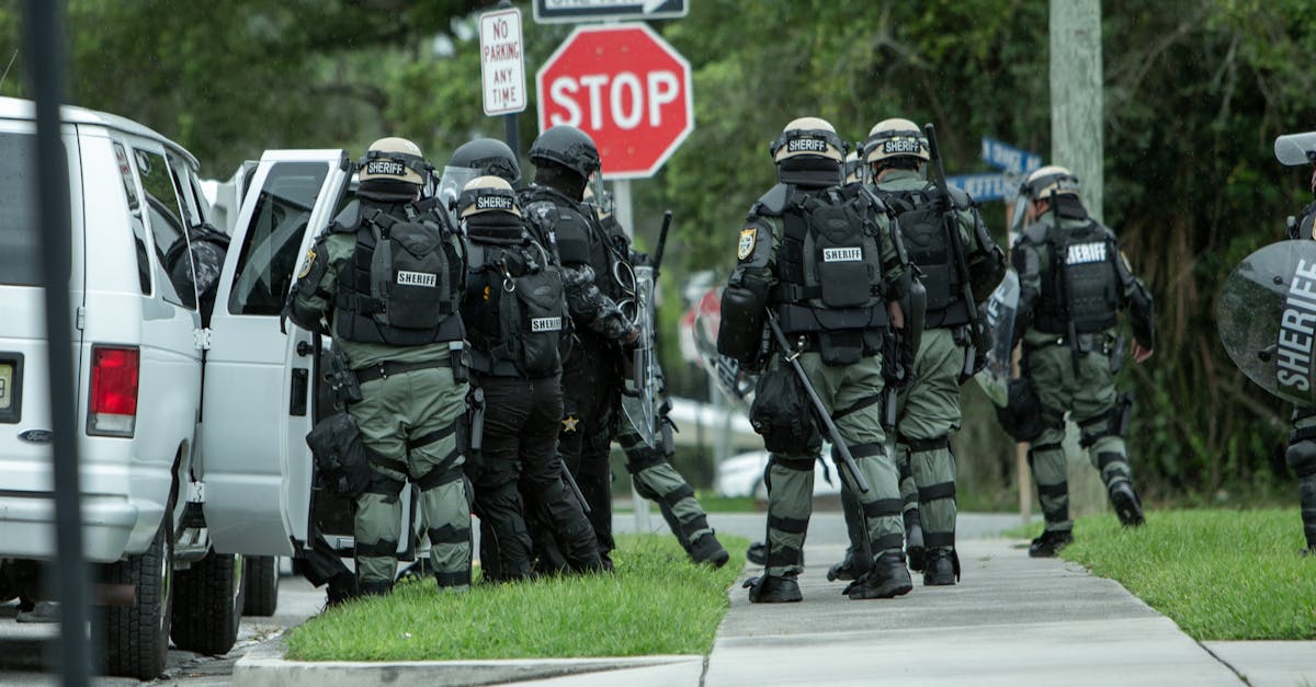 使用模拟SEO算法进行排名优化