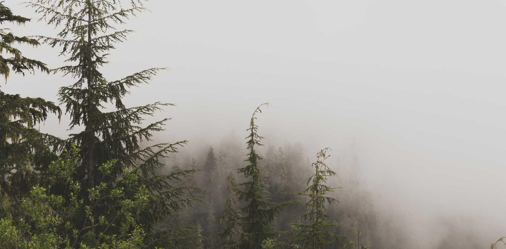 芝麻开门实名账号:吕梁公司代理注册流程