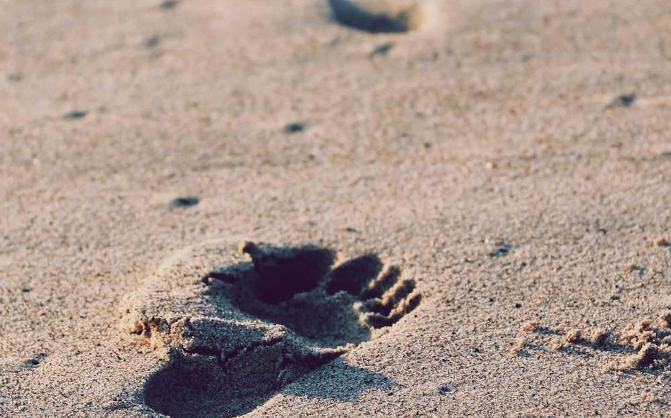 帝王三国：舟曲公司注册代理记账