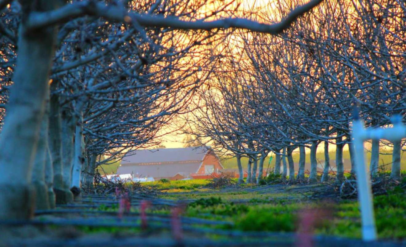 摩鑫娱乐，注册|app密码键盘详情下载教程