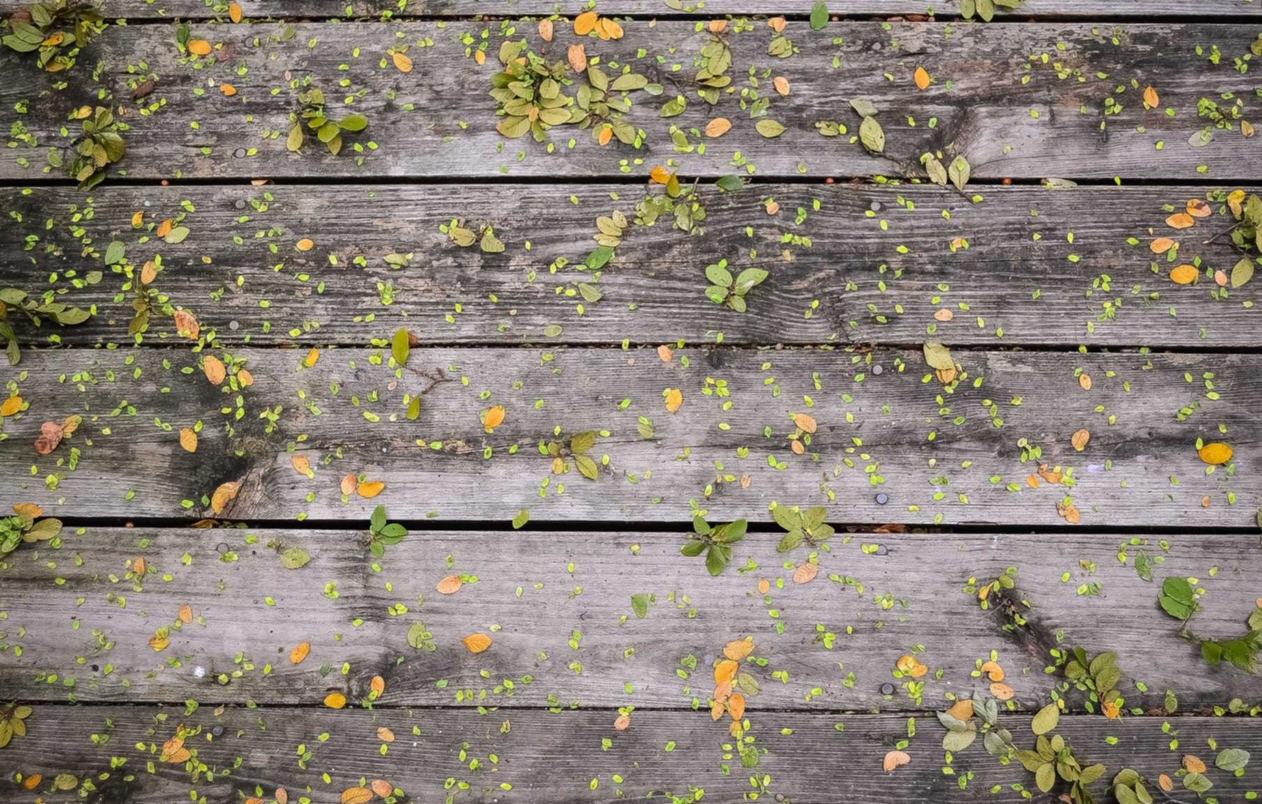 QQ实名账号:伊对账号注销了还能注册吗