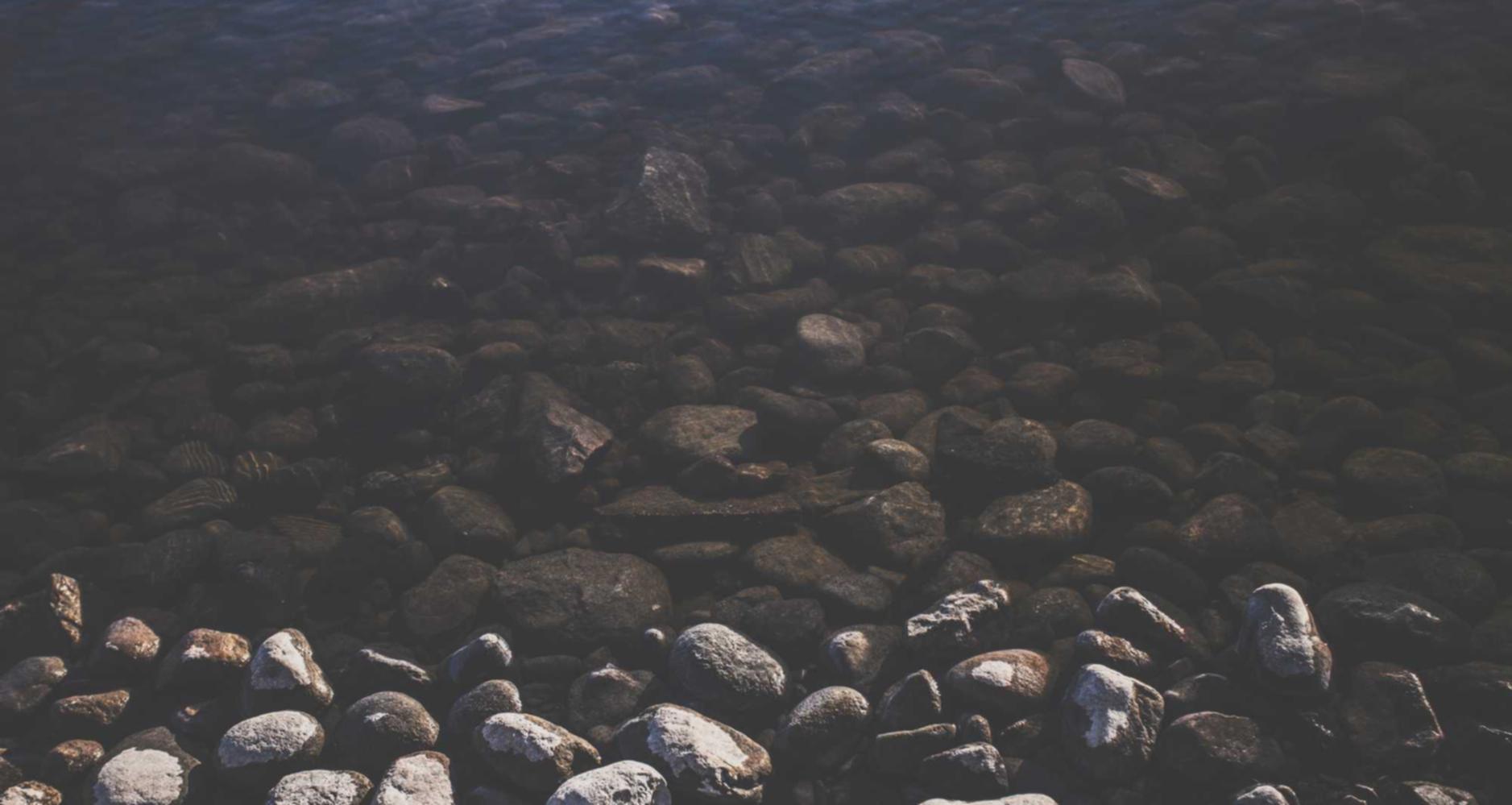 如何使用SEO进行事实审查