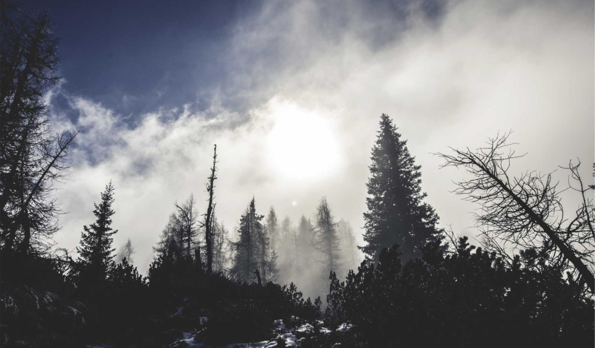 技术支持辅助的使用是否会对游戏公平性造成影响？