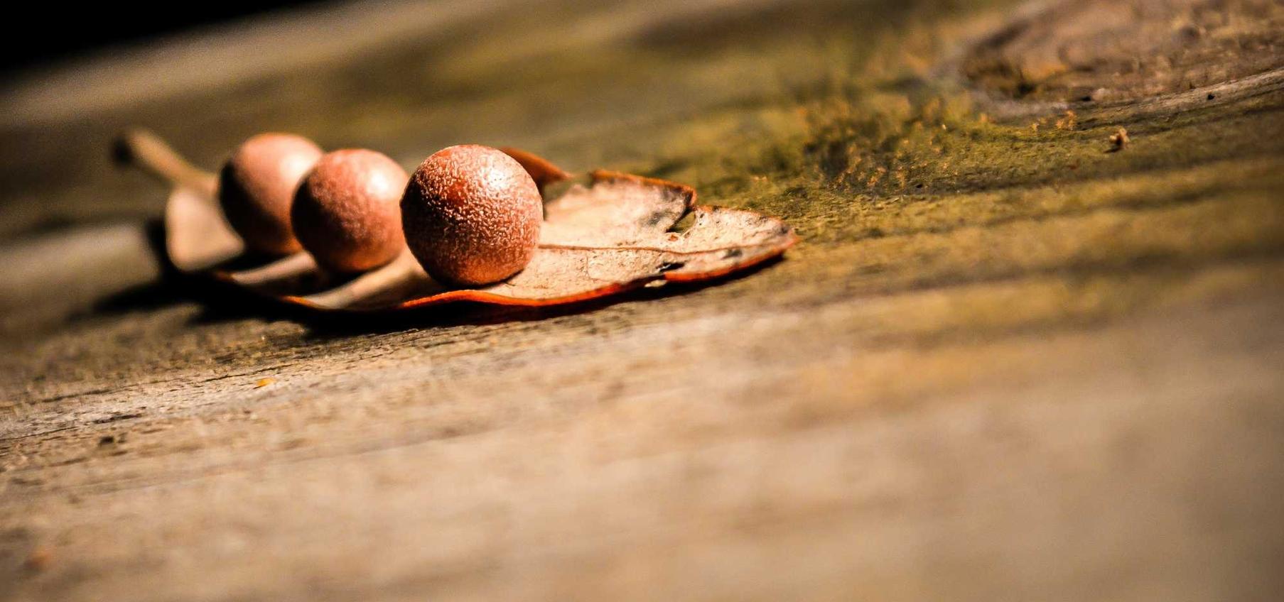 三五财富卡实名账号：武汉dsp平台代理