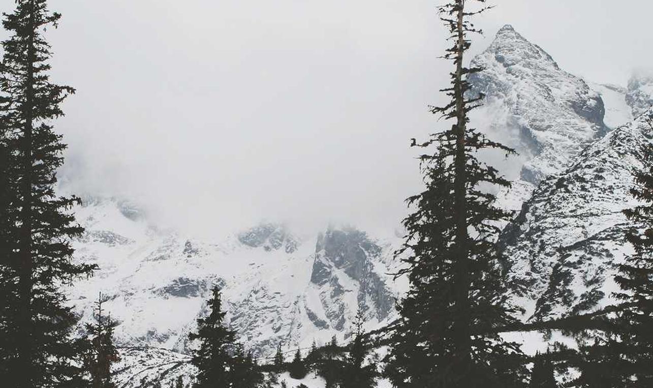 迪信通实名账号：美团代理人怎么注册