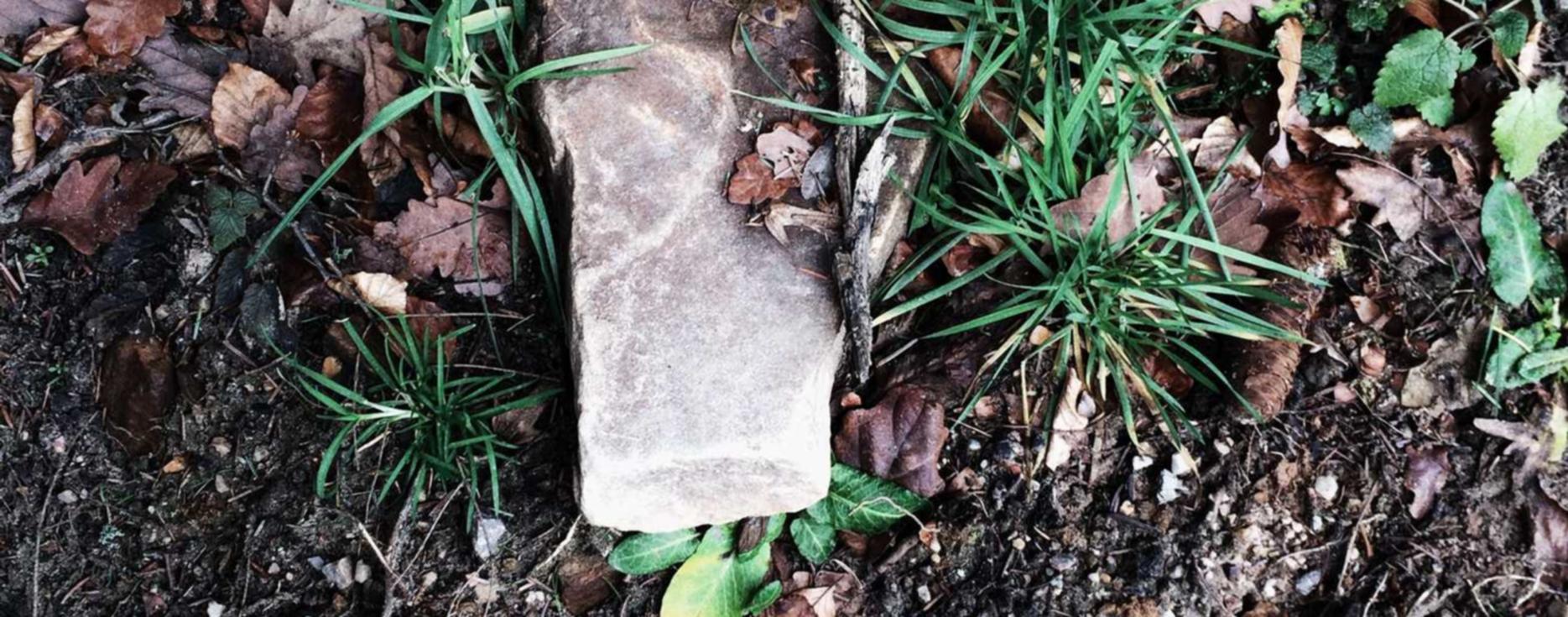 侠客行:港股期货开户哪个平台好