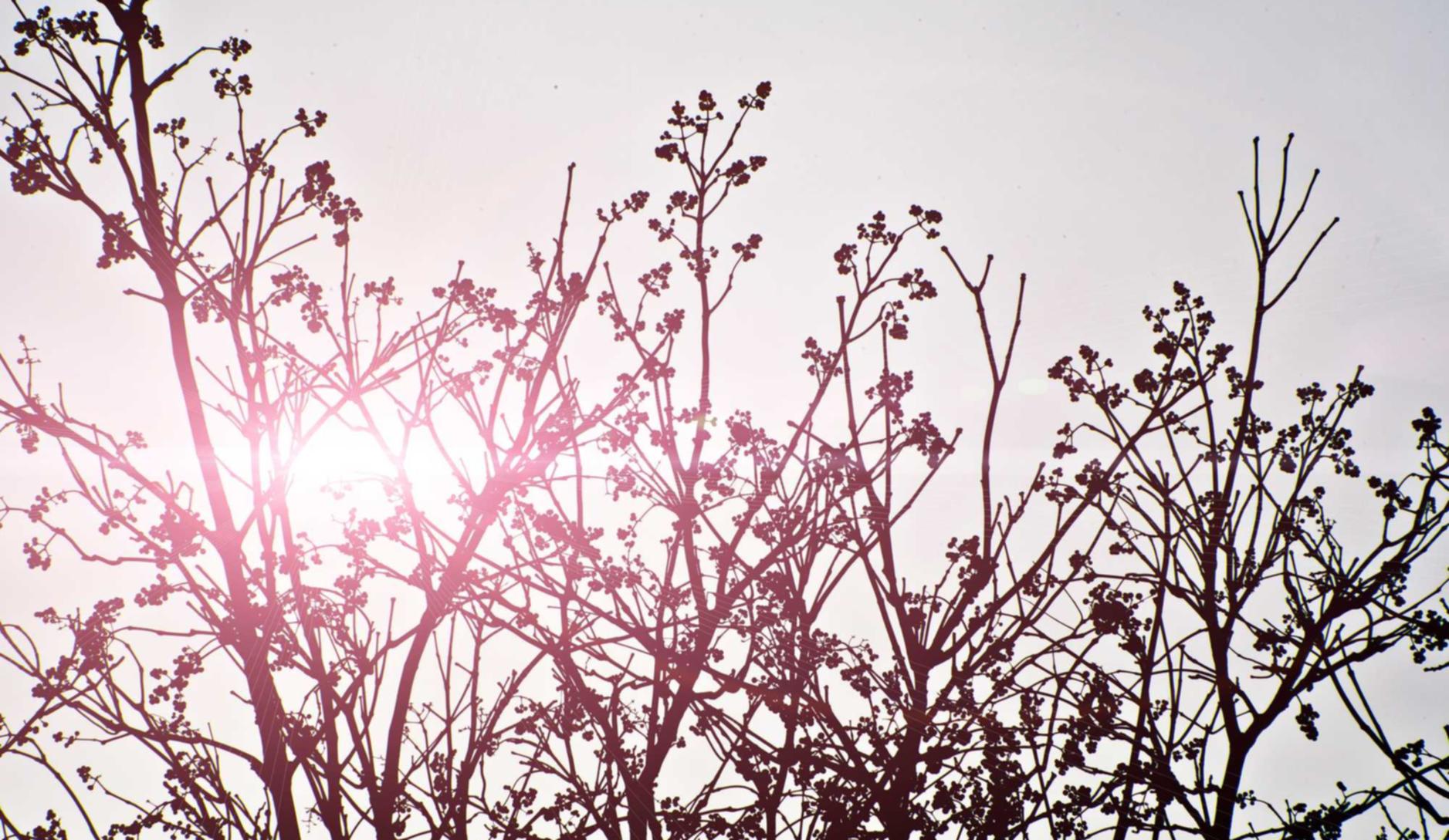 海外奢侈品包包代理平台