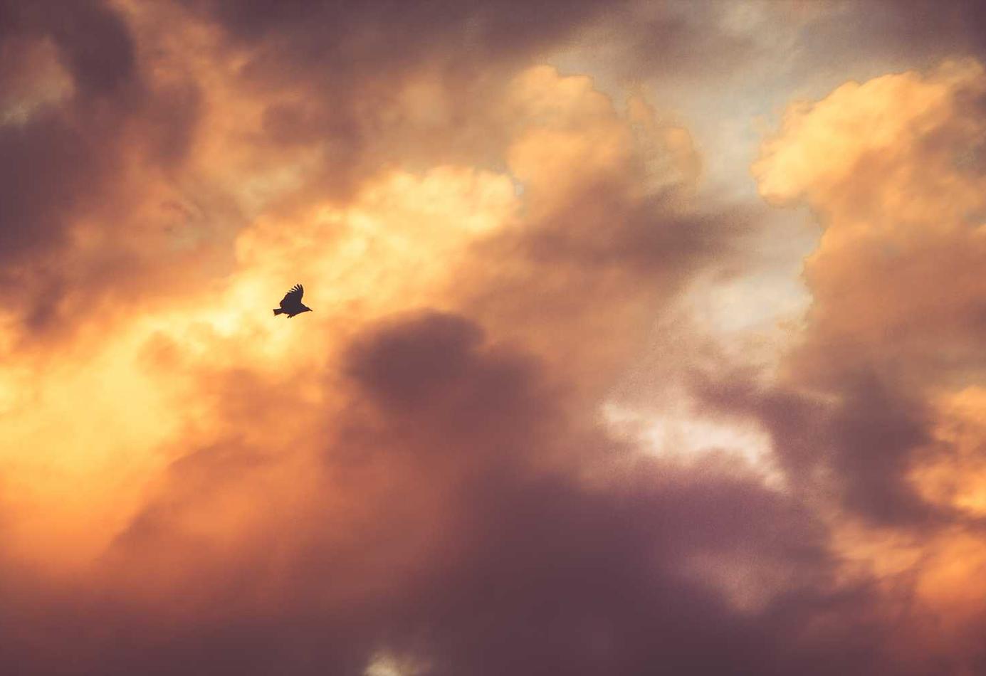 开丰娱乐,注册|二手车代理哪个平台好做