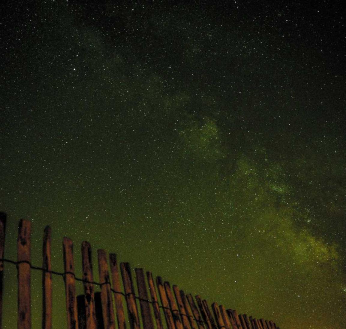 里拉薄荷爆珠(细):梨果app详情下载教程