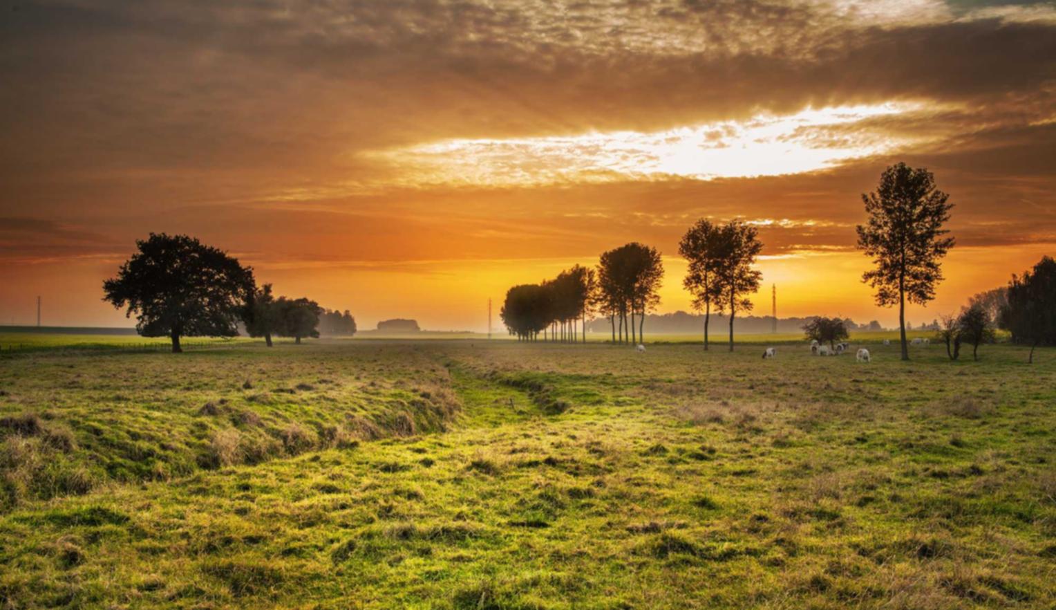 恒创科技实名账号:短信是如何帮助市场部门进行个性化营销的?