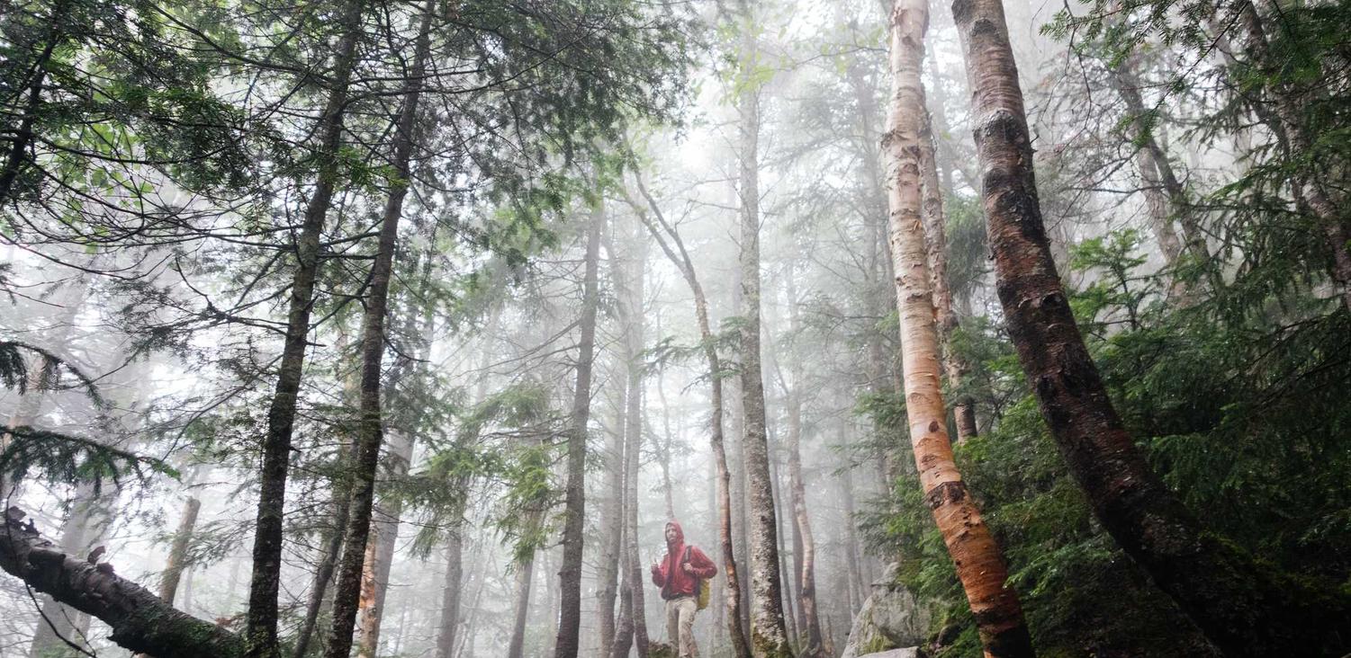 谷歌云GCP实名账号:宝山区注册财务代理