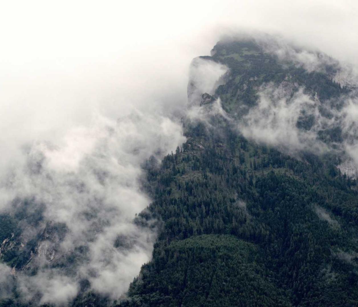 趣夜详情下载教程app