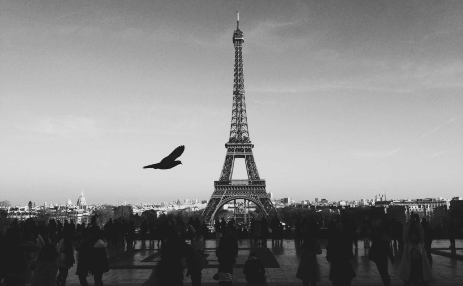 速盈娱乐,注册|arp免费代理平台