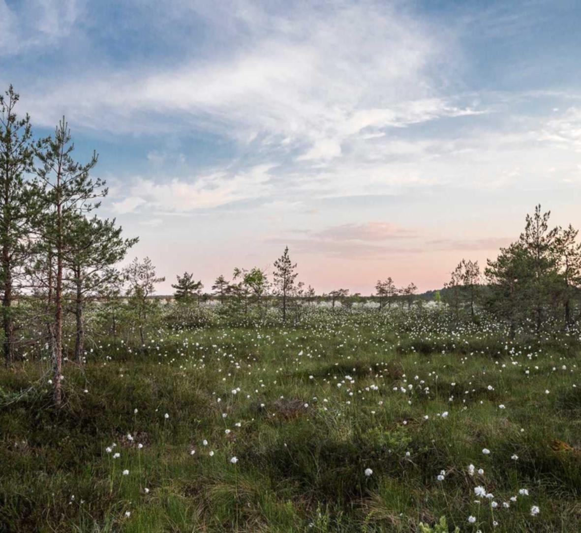 火种实名账号:外盘期货开户正规平台