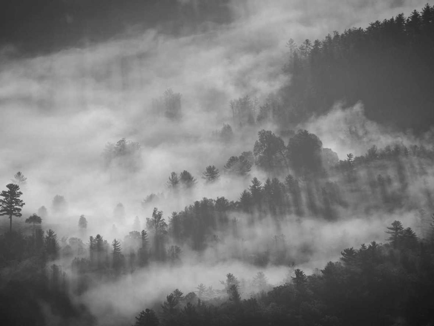 香烟如何影响婴儿和儿童