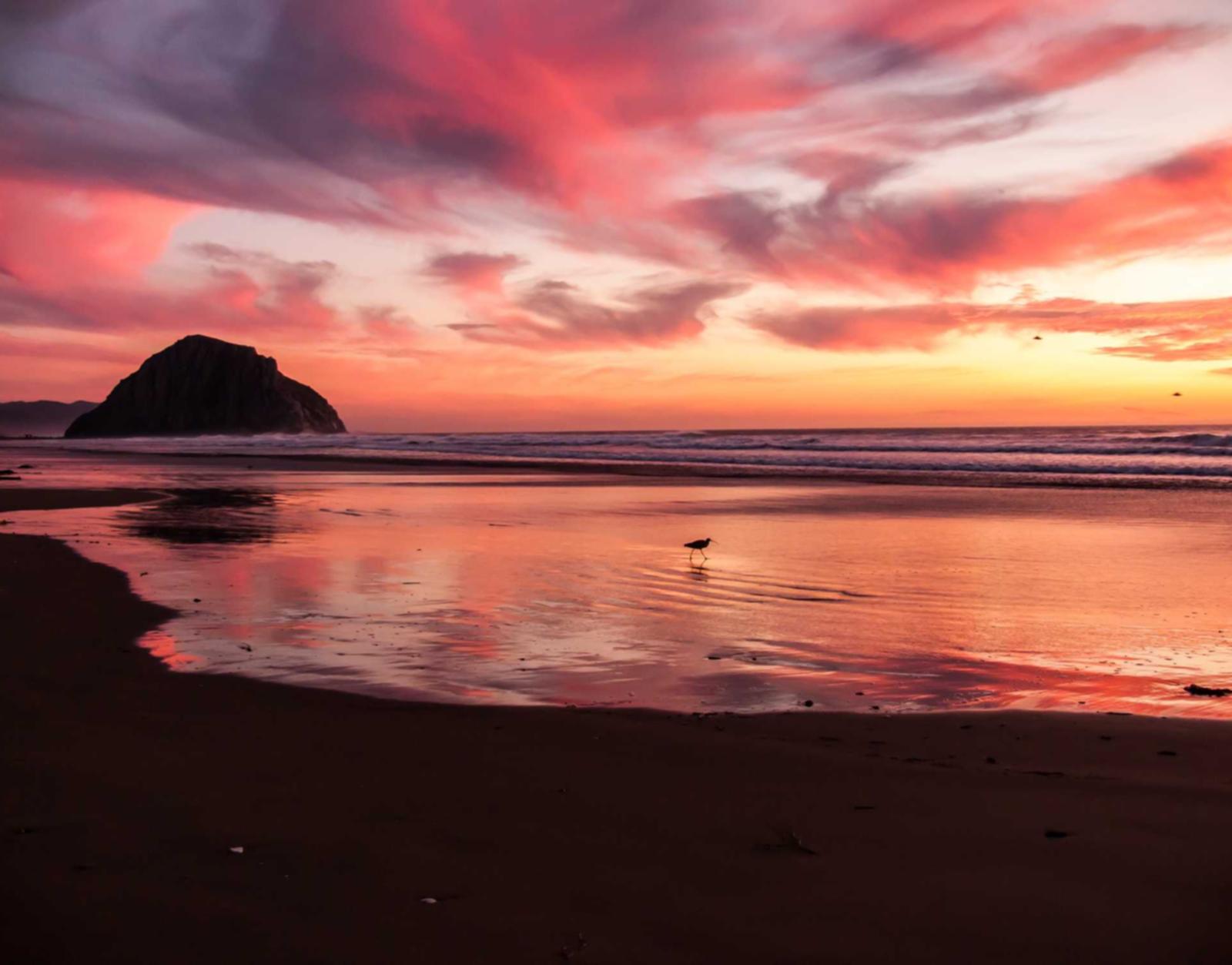 Peel百乐哈密瓜爆珠：美国代理平台