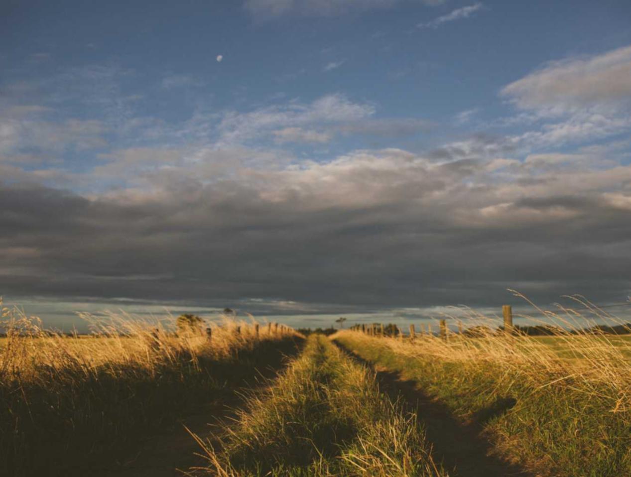 国外ddos攻击页端|谷歌地球软件详情下载教程app