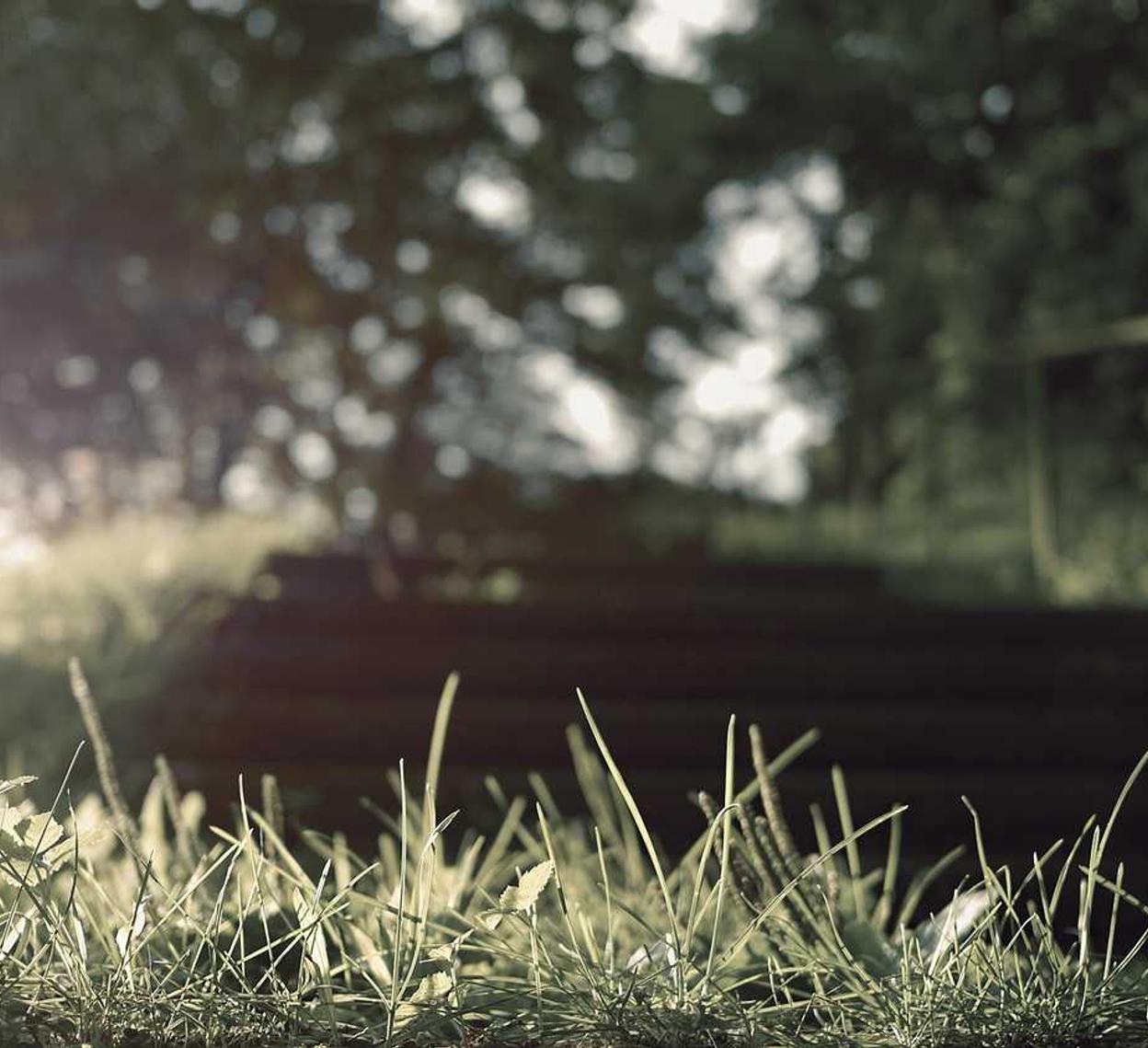 DDOS在线压力测试|天翼影视app详情下载教程