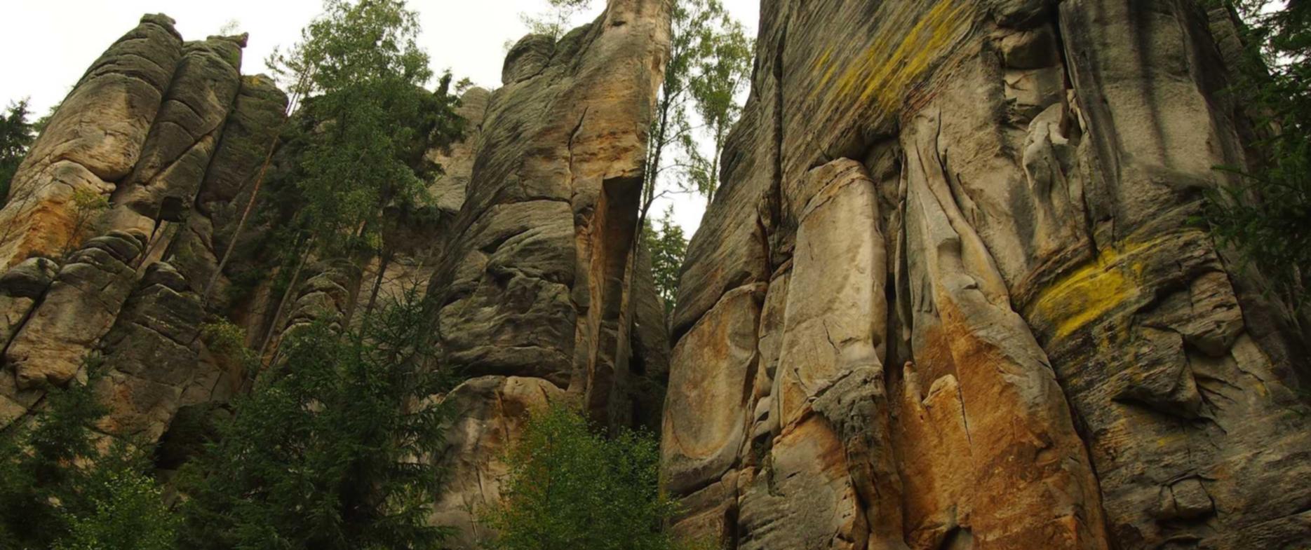 天亚娱乐，注册|温州代理企业注册价格表