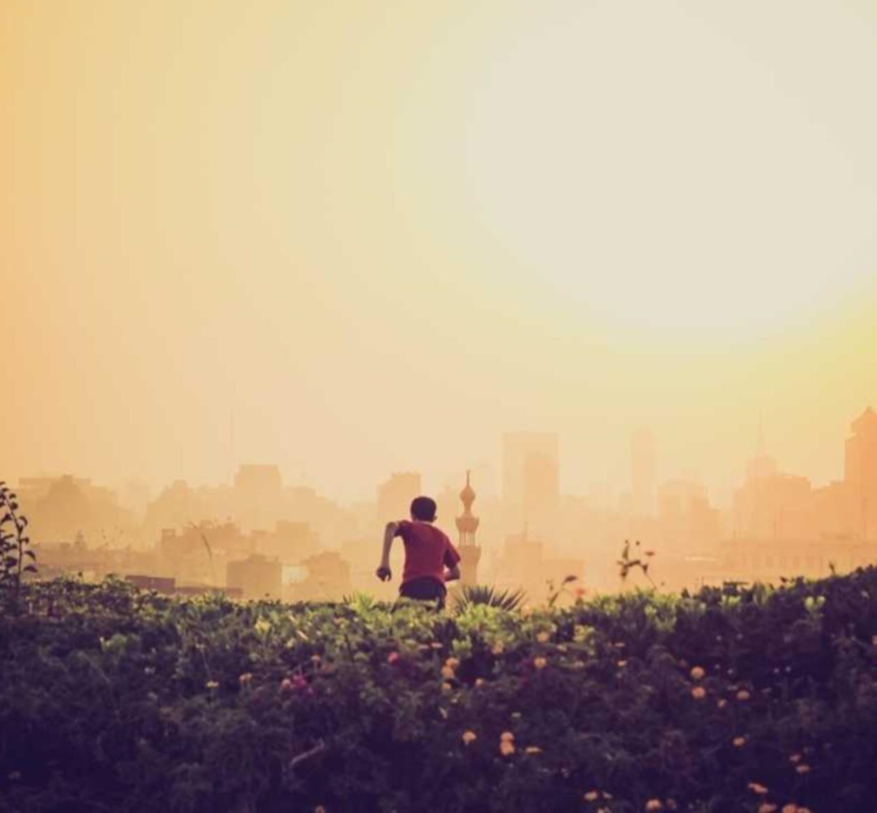 京东实名账号：临沂代理注册学校