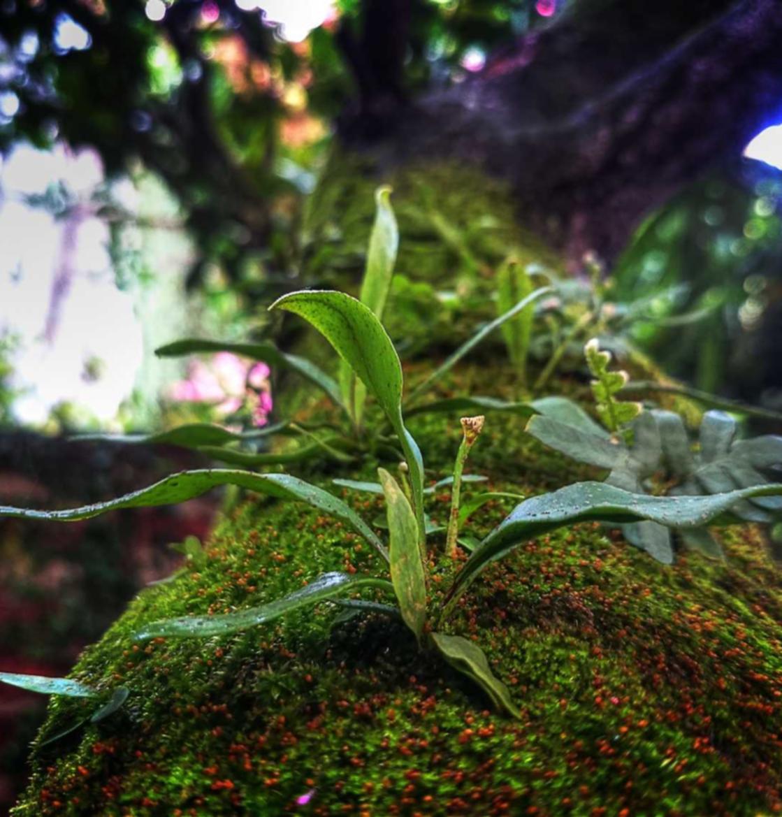 天火2娱乐,注册|刷信用卡app详情下载教程