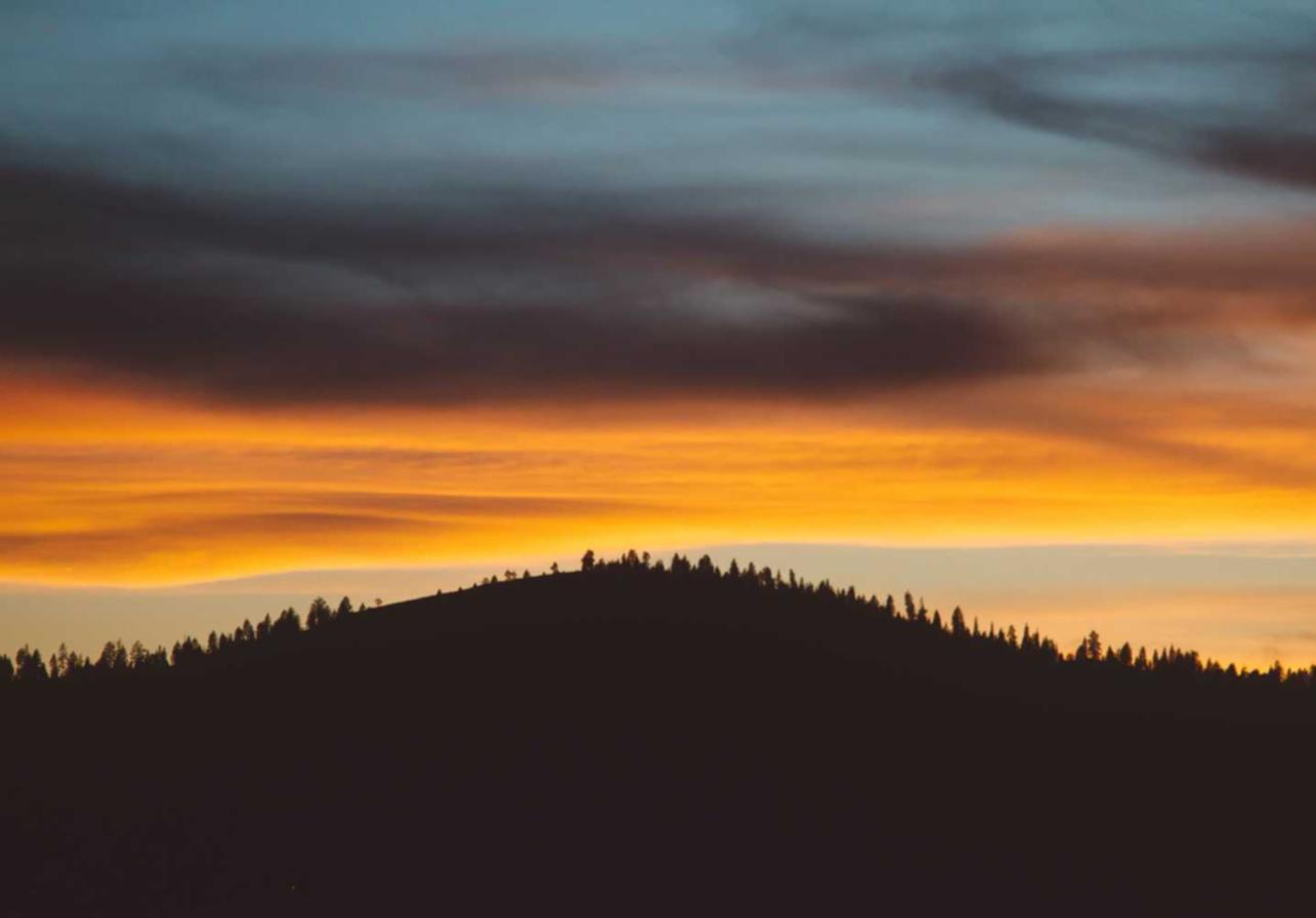 消费者品牌忠诚度和企业营销中的作用