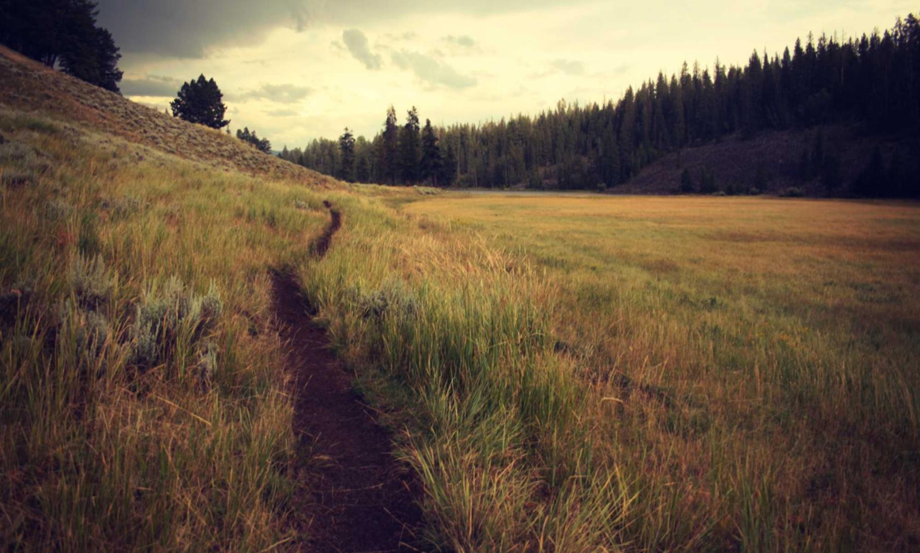 火种实名账号:惠州鞋子购买平台