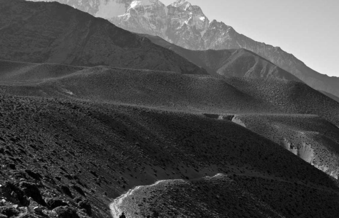 注入漏洞攻击手段揭秘,如何提高系统安全性