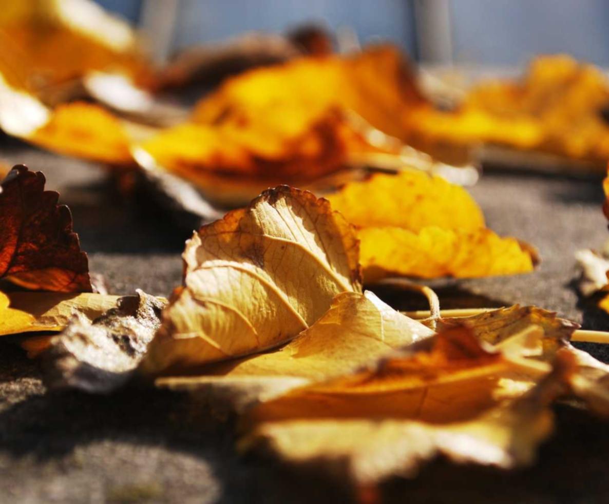 货物寄到国外代理平台