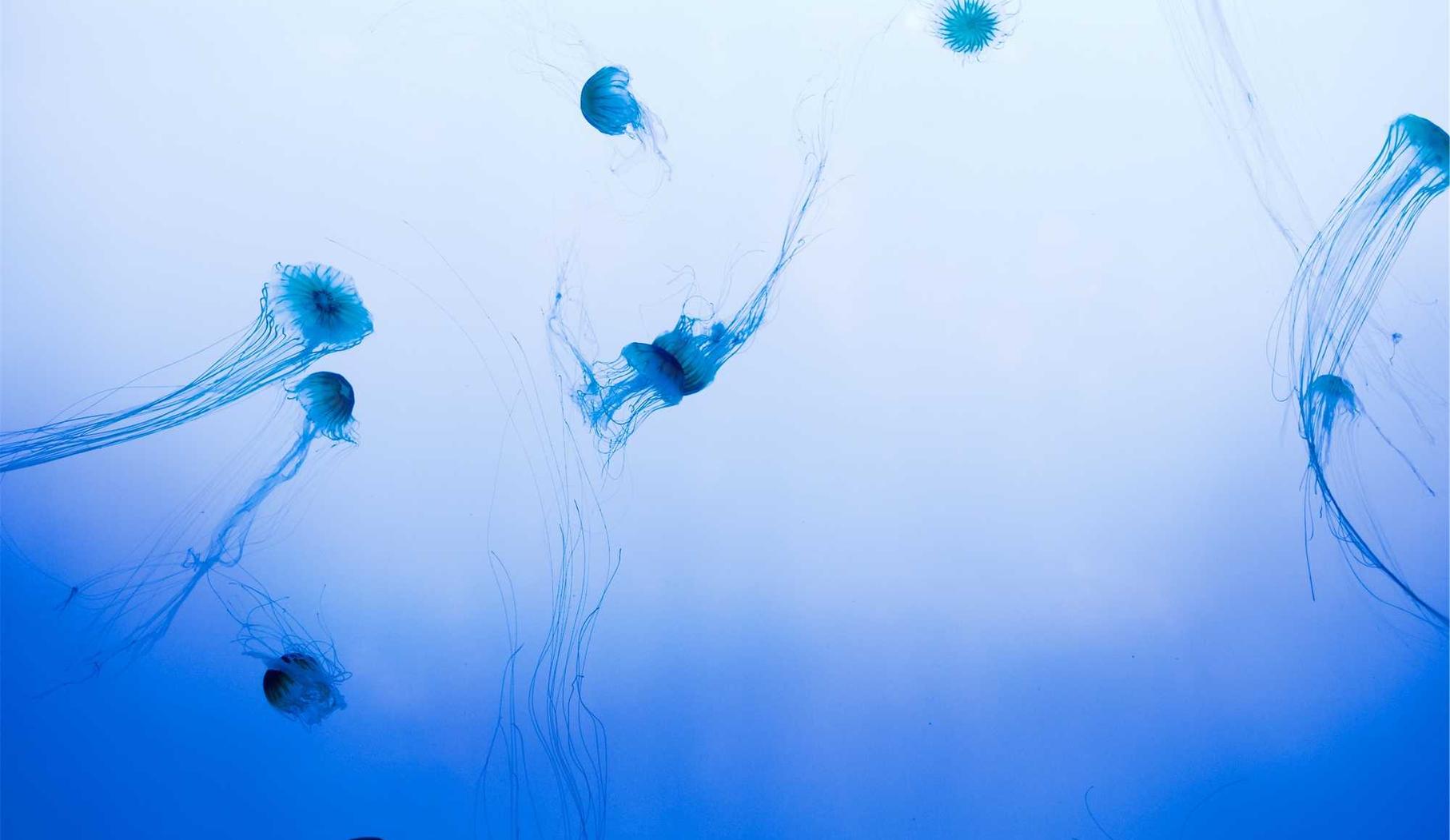 如何提供优质客户服务追求品牌高度认知度