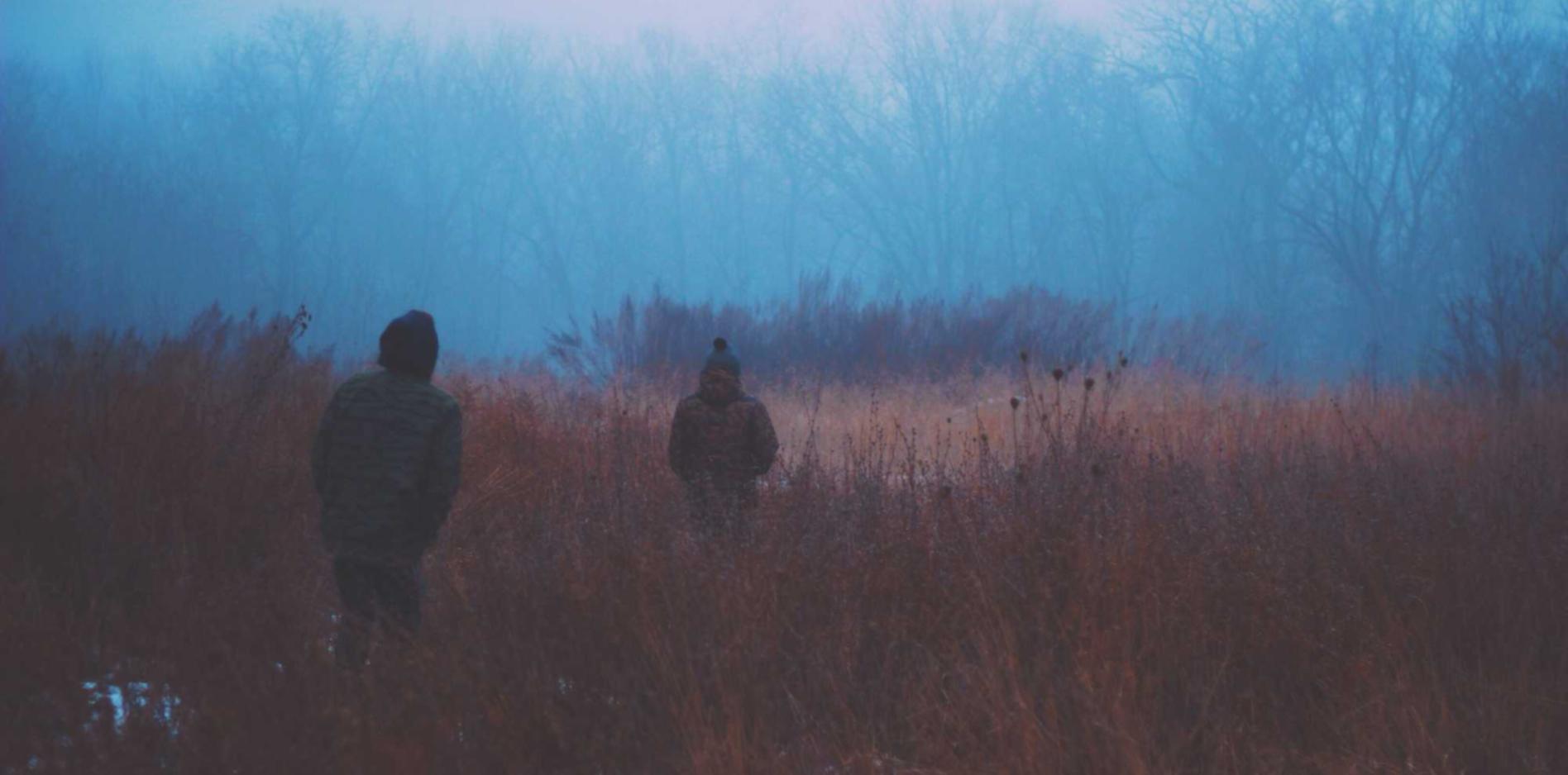 网站压力测试|自贸区代理注册公司程序