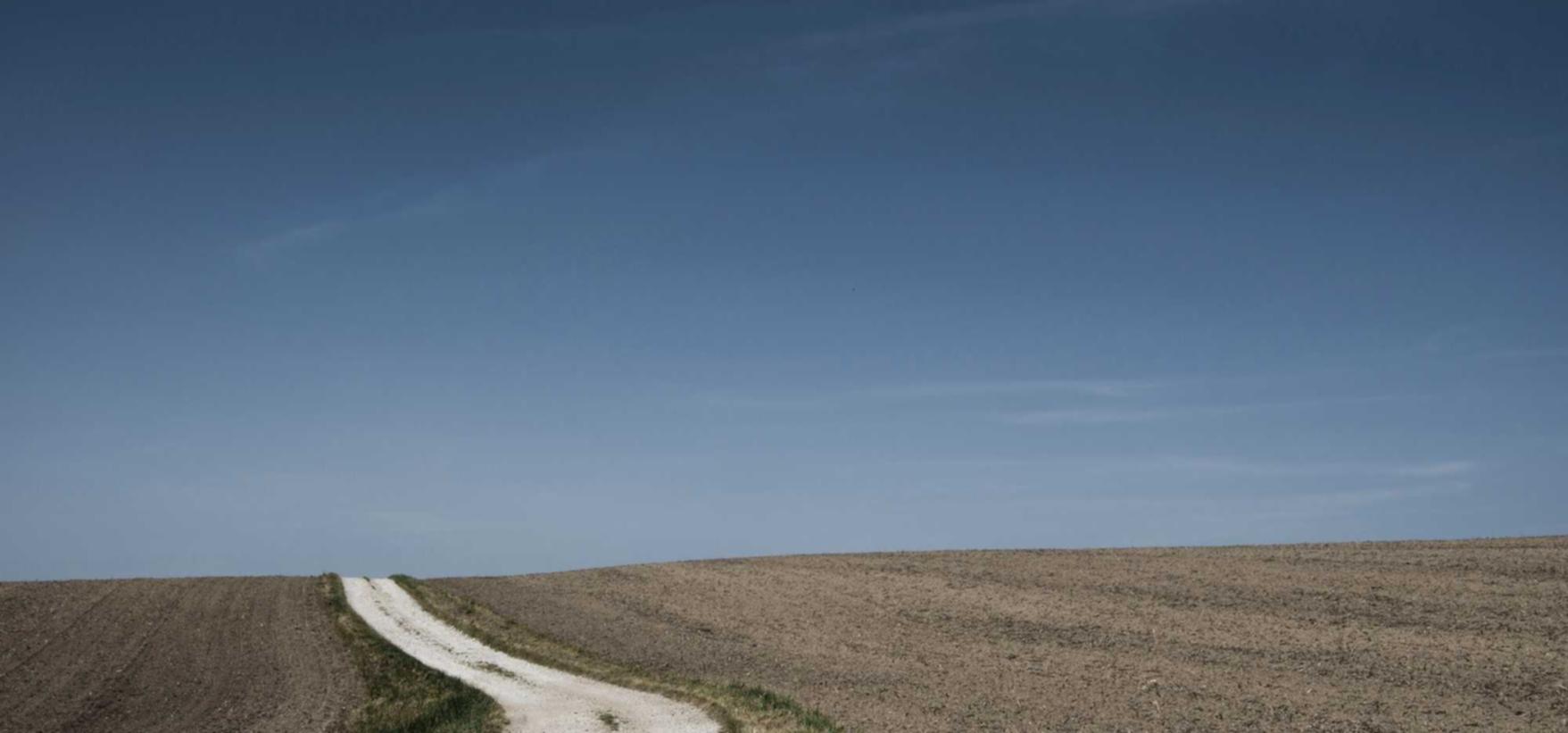 神佑释放:直播特效购买平台