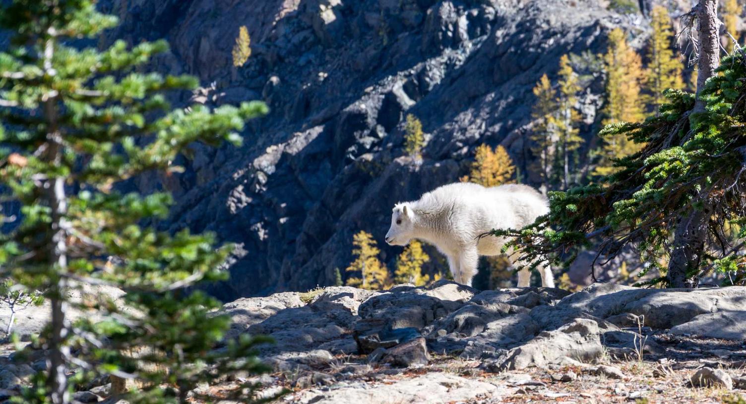 中国移动 物联卡- 音乐冢app详情下载教程
