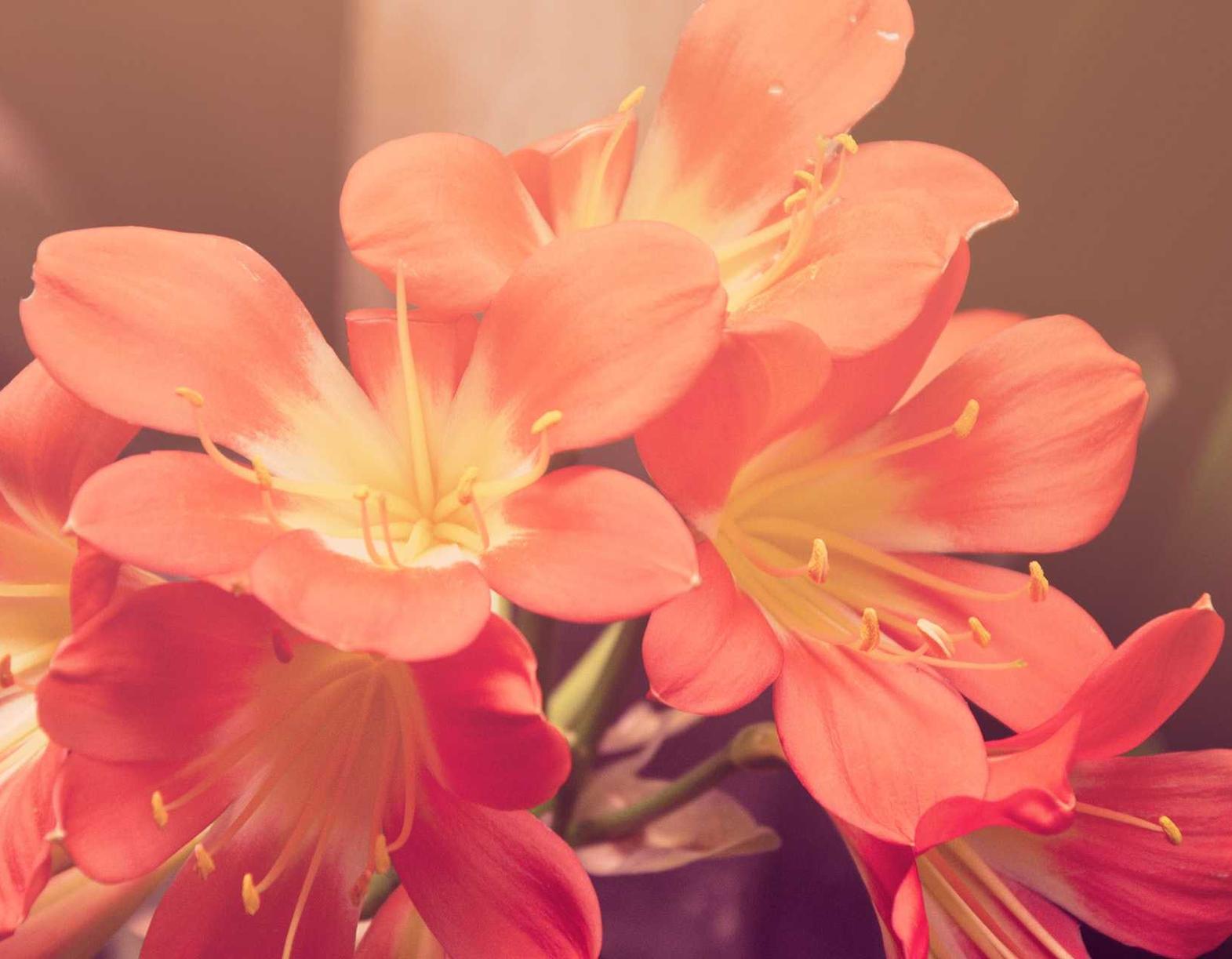 流量卡的未来趋势分析:走向何方?