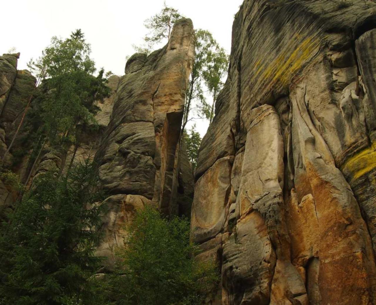 Mond梦都口香糖：代理平台的收入