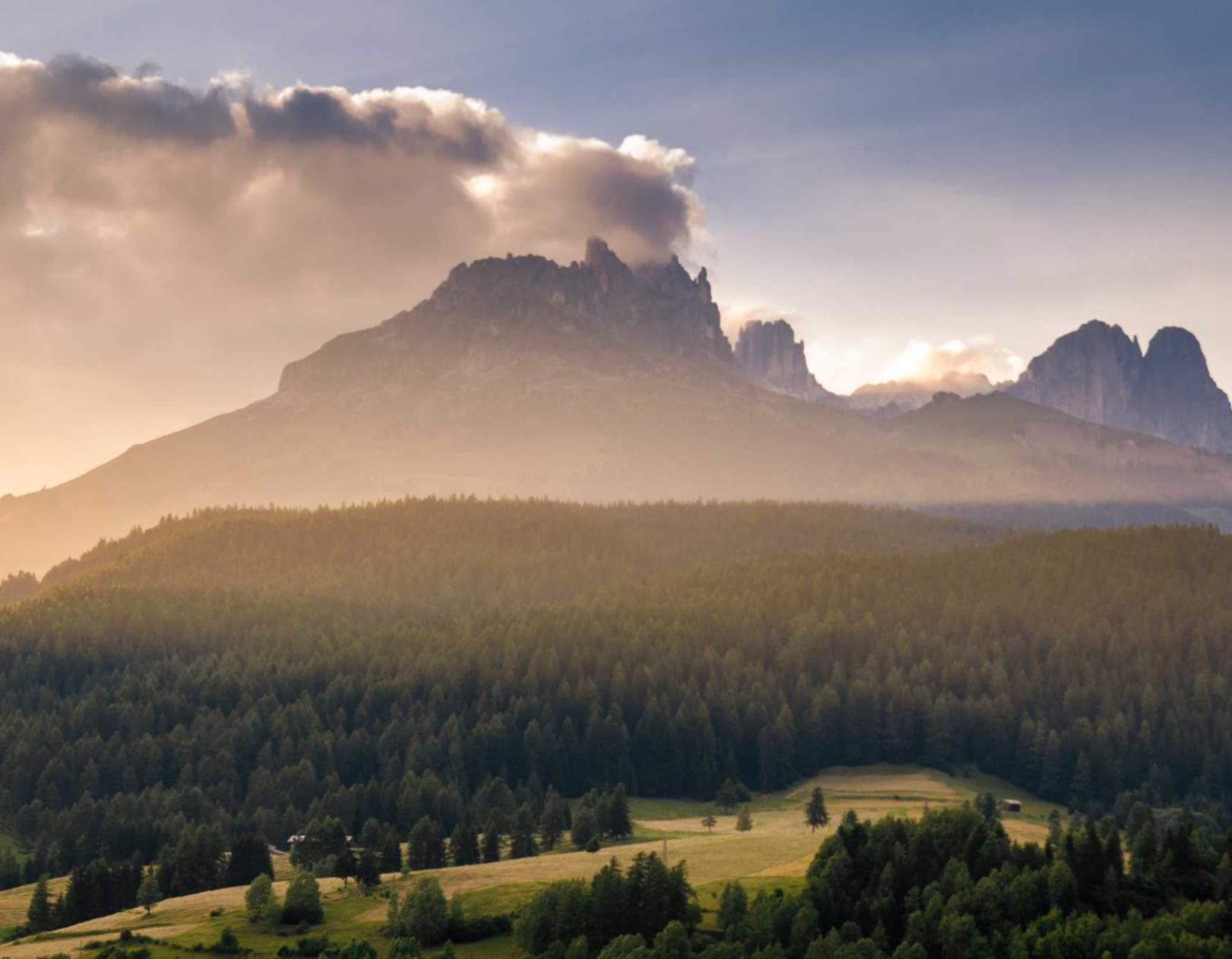 定制实名认证账号：仁鼎平台开户