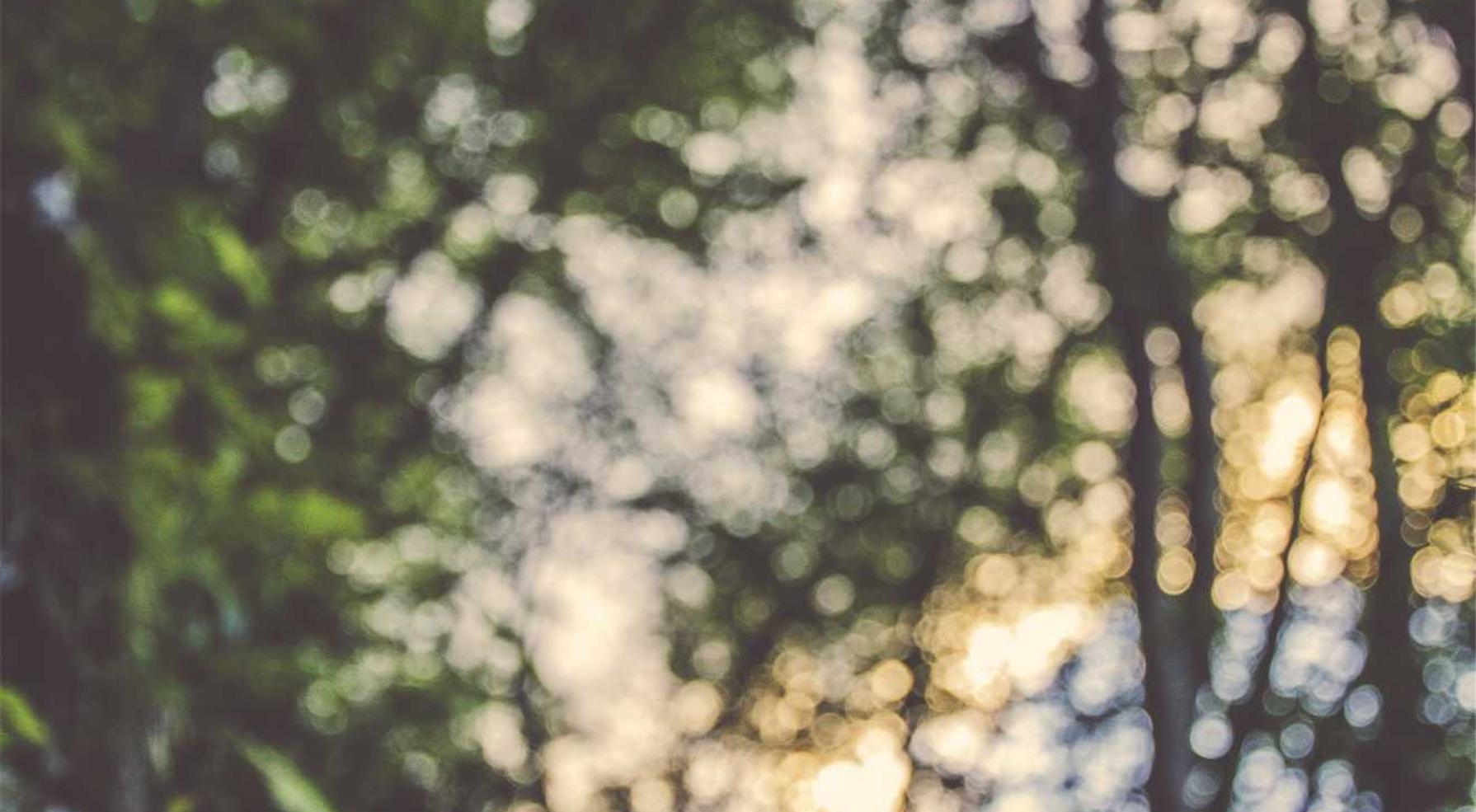 安信5坪山代理记账平台