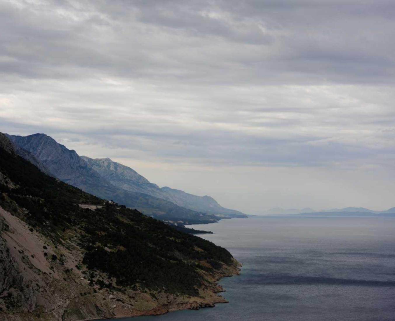 中免555柠檬双爆珠:滁州官方账号购买