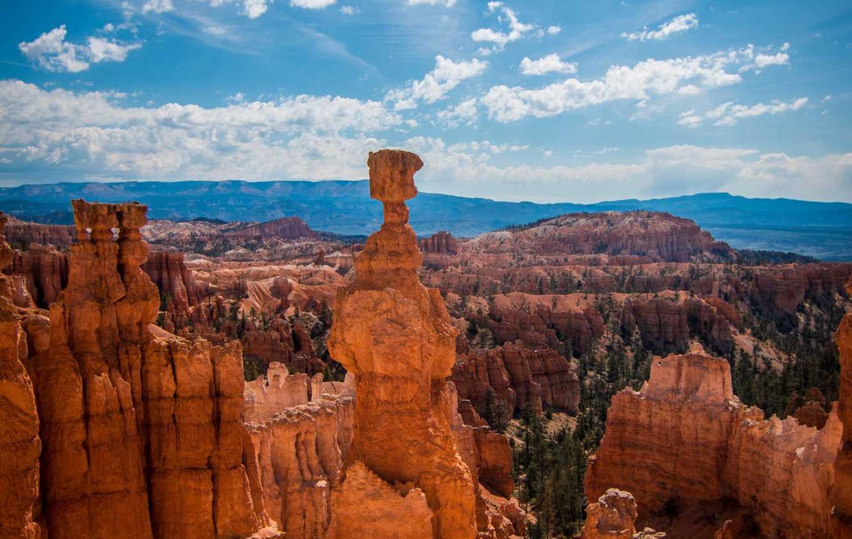 诛仙世界辅助- 香港证券平台开户费用