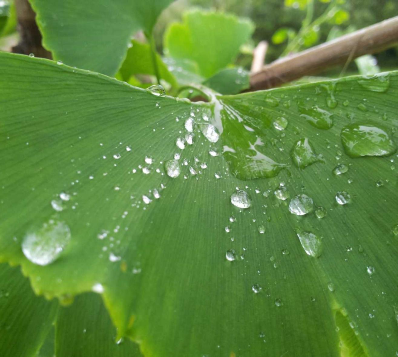 微软云Azure实名账号:网络代理平台可信度高吗