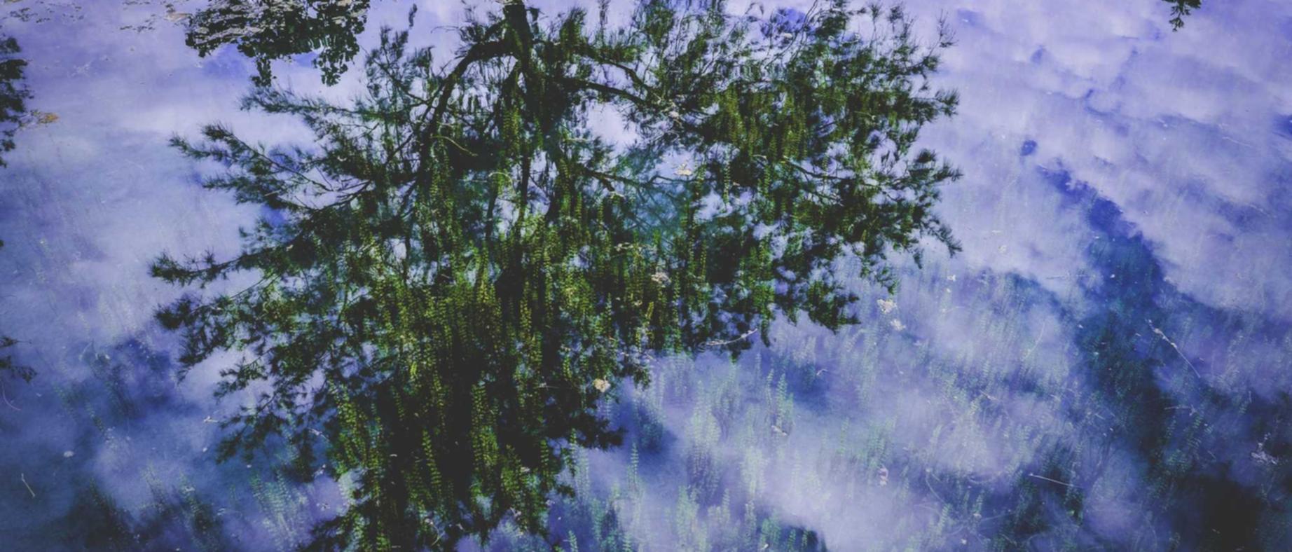 食物语:湖北墙布建材代理平台