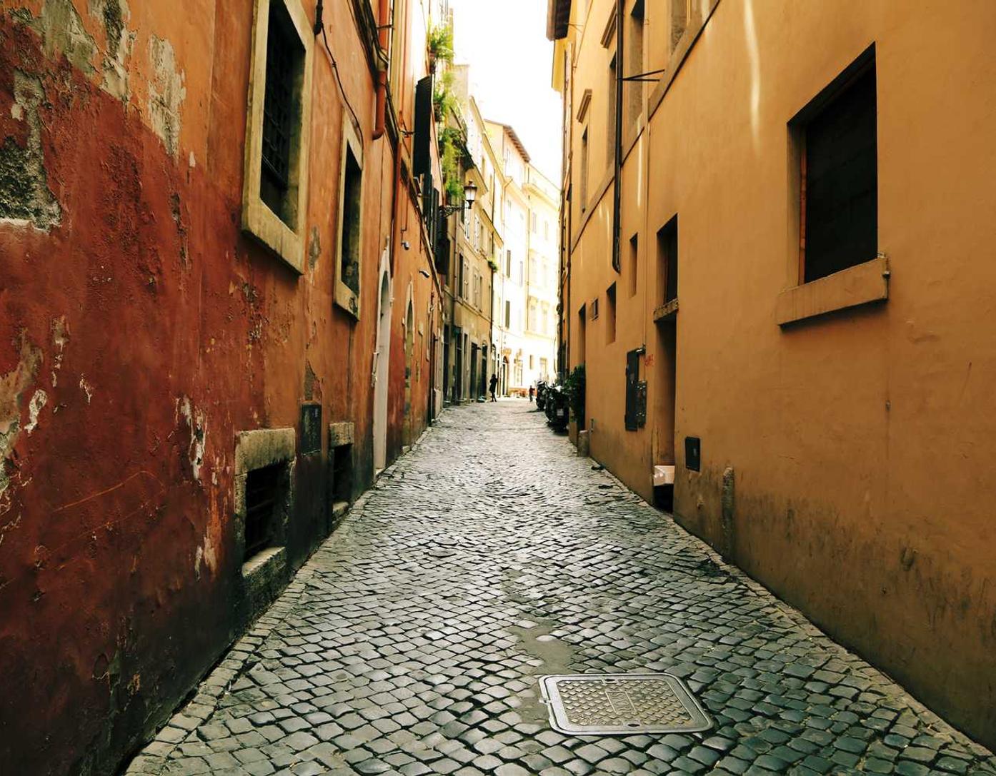 多利电子商务带来的新机遇,如何抓住大趋势。