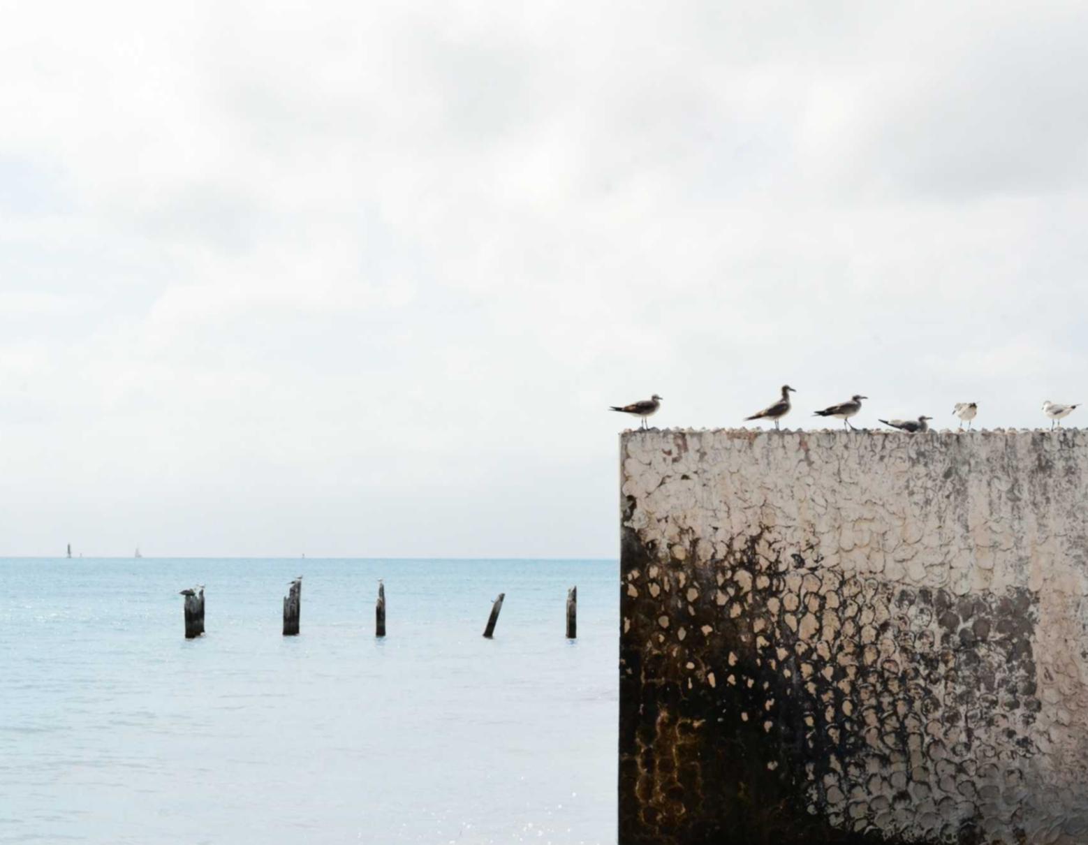 天美外贸代理平台