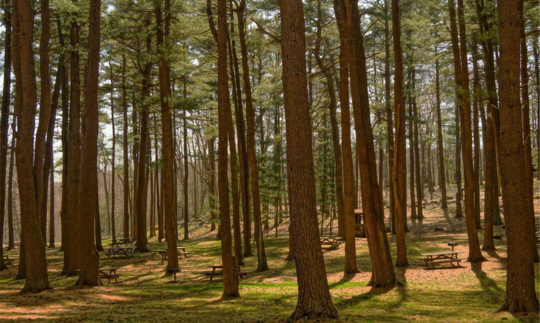 华信如何提高企业在全球市场的竞争力？