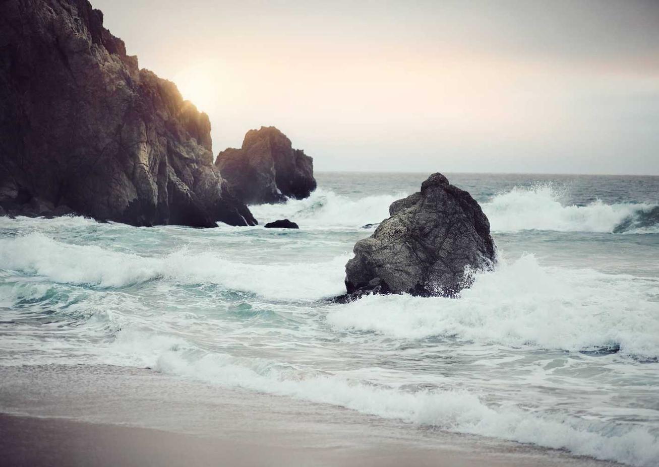 铁塔猫烟花芒果珠（细）：怎么注册域名网页账号